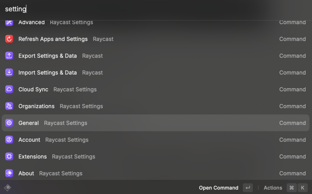  Raycast settings 的 General 